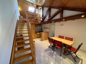 Charmant Duplex Pied De Pistes Briancon